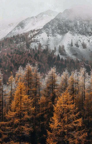 秋天森林山脉清晨起雾大自然风光寒露摄影图