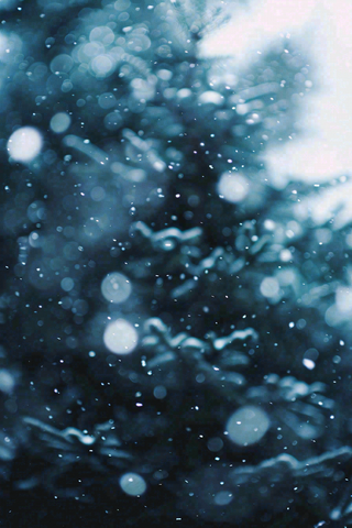 冬季下雪天寒冷树林松树小雪大雪小寒摄影图