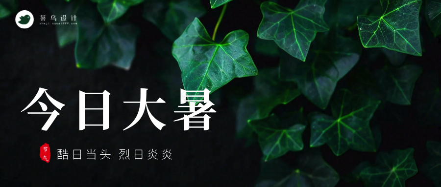 大暑公众号首图