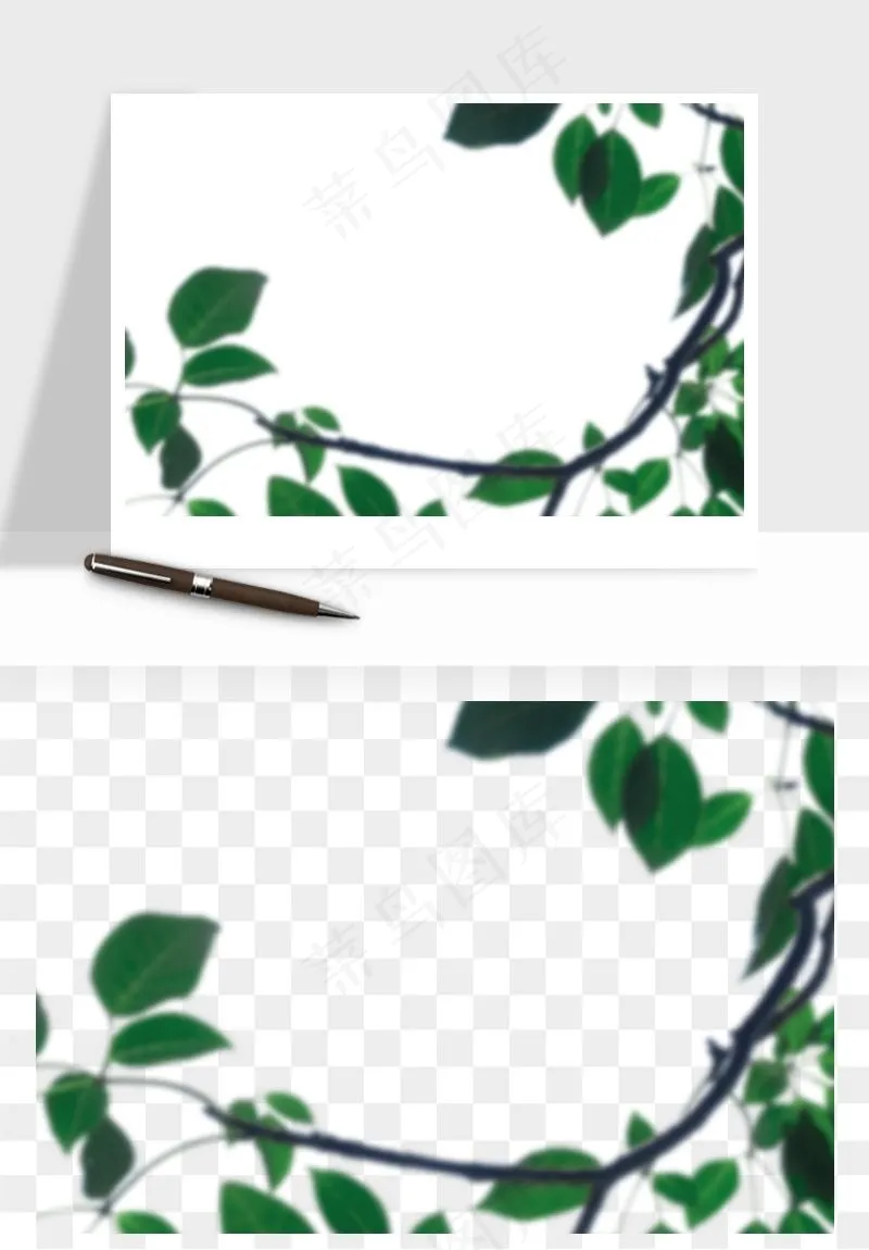 绿叶虚化前景树枝png免抠