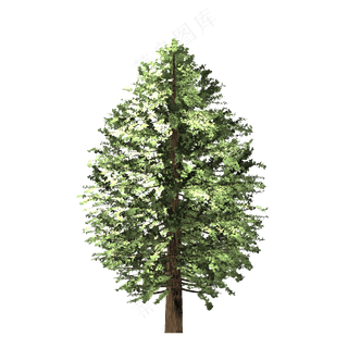 装饰树免扣png