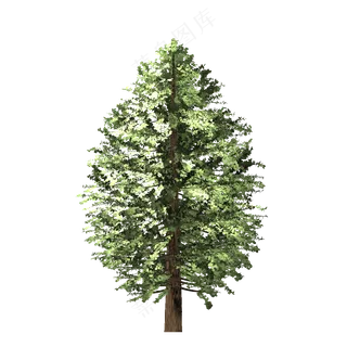 装饰树免扣png