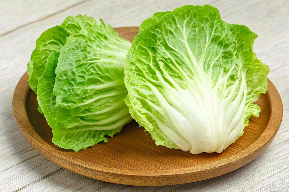 白菜蔬菜摄影图