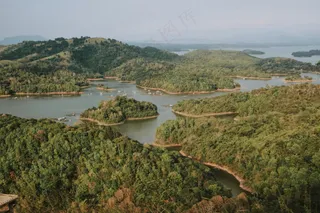 宁静的湿地风光