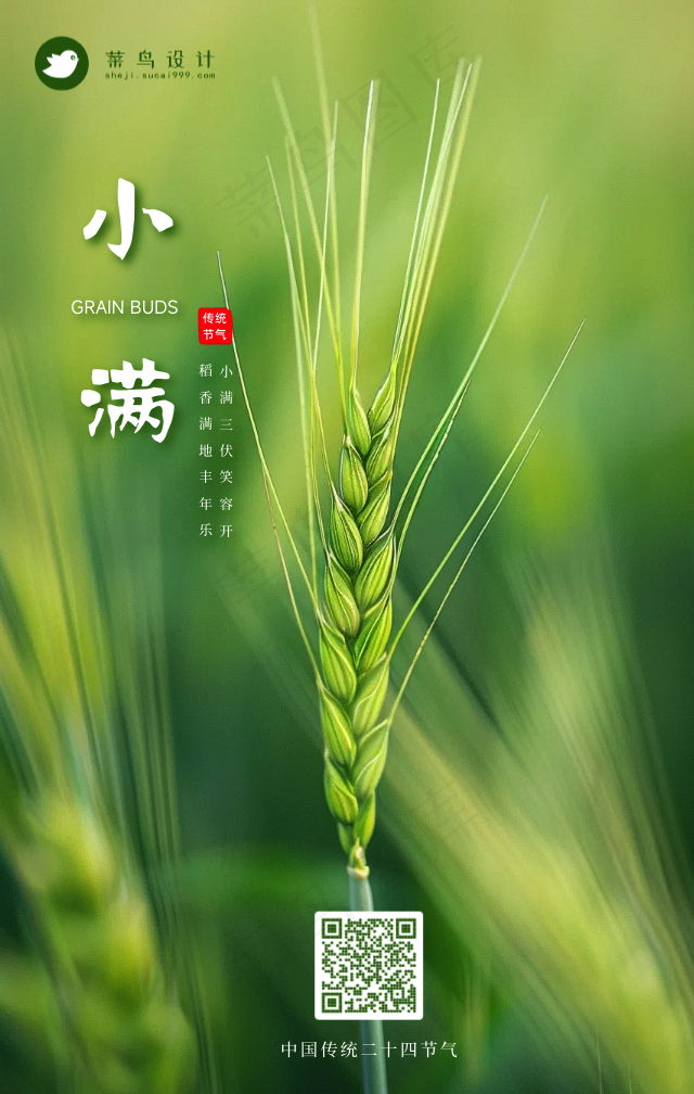 小满手机海报