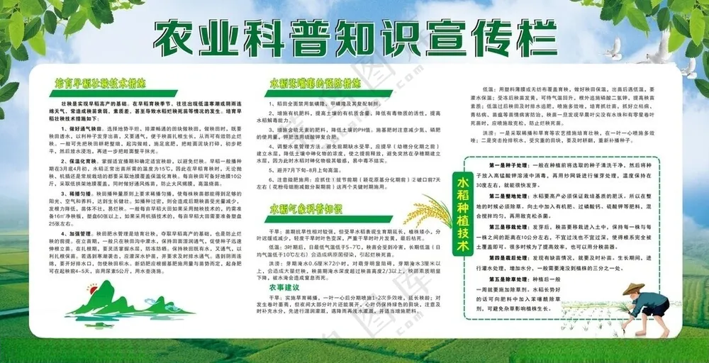 农业科普知识宣传栏展板模板CDR
