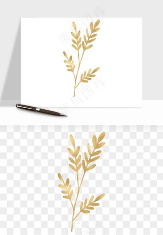 金色植物花环边框png免抠