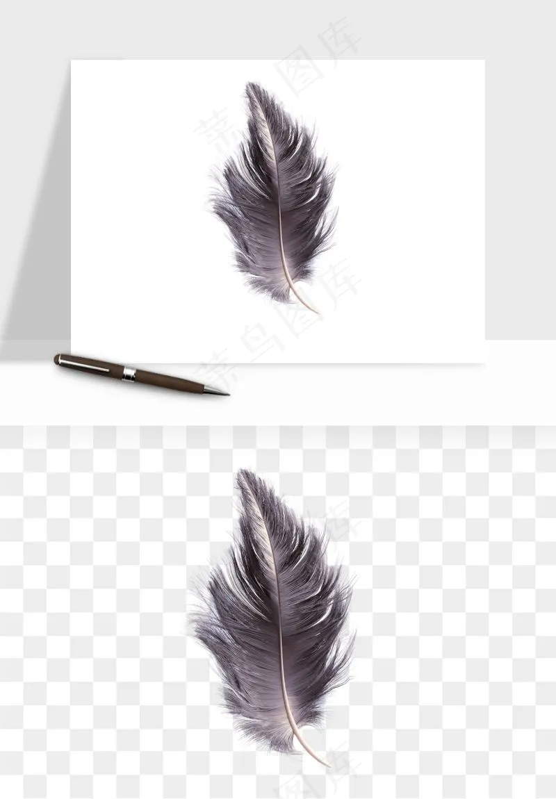 白羽毛漂浮彩色羽毛png免抠
