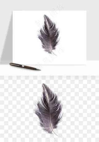 白羽毛漂浮彩色羽毛png免抠