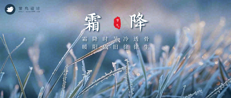 霜降公众号首图