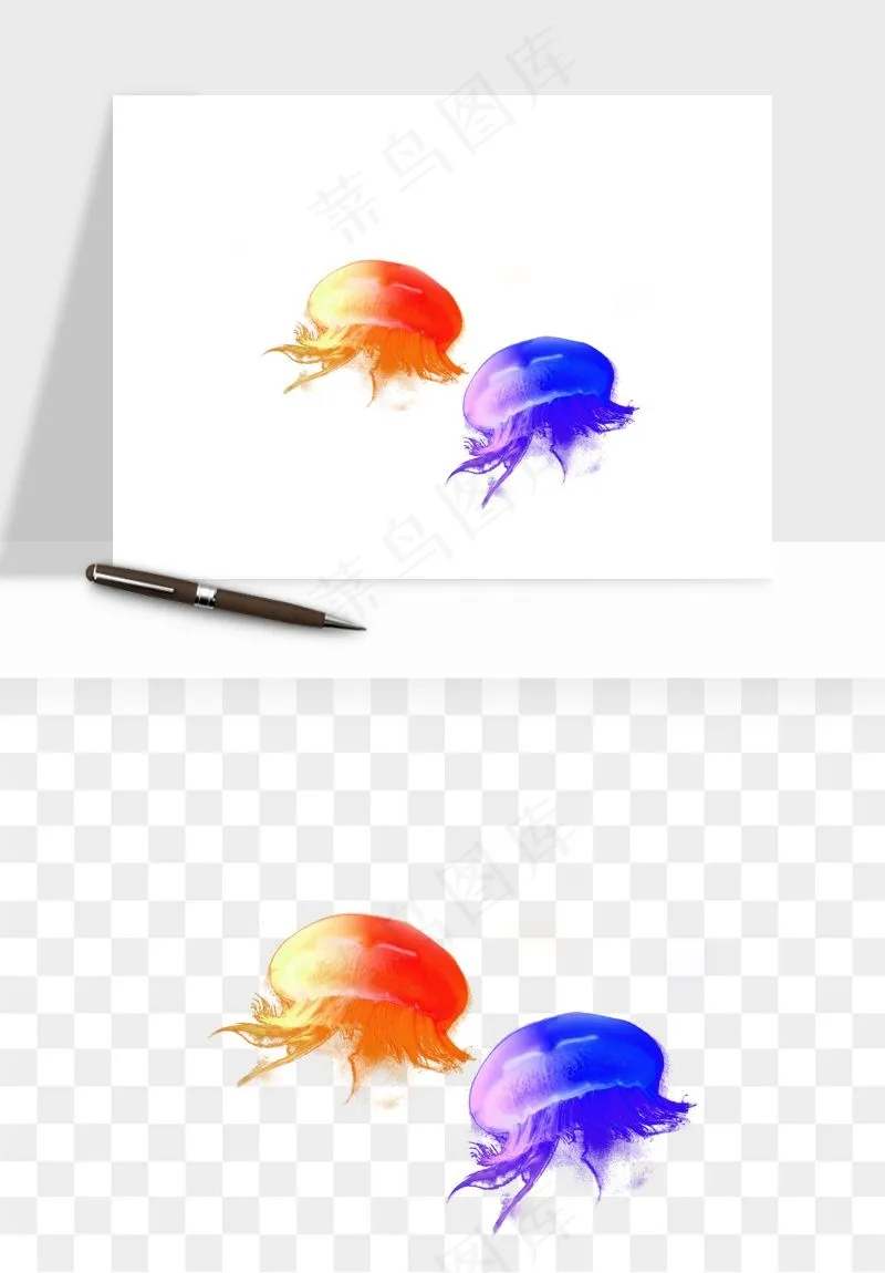 水母章鱼海底生物png免抠图