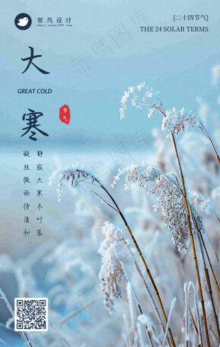 大寒手机海报