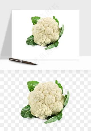 花菜椰菜花蔬菜png免抠