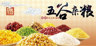 五谷杂粮丰收健康养生粗粮食背景板