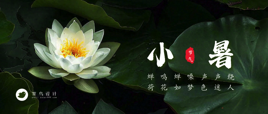 小暑公众号首图