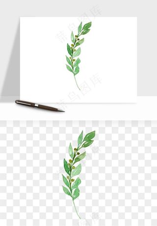 清新手绘植物png免抠