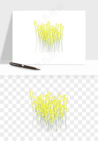 油菜花田png免抠