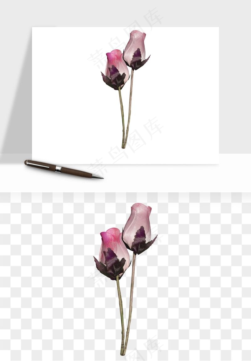 复古鲜花玫瑰png免抠
