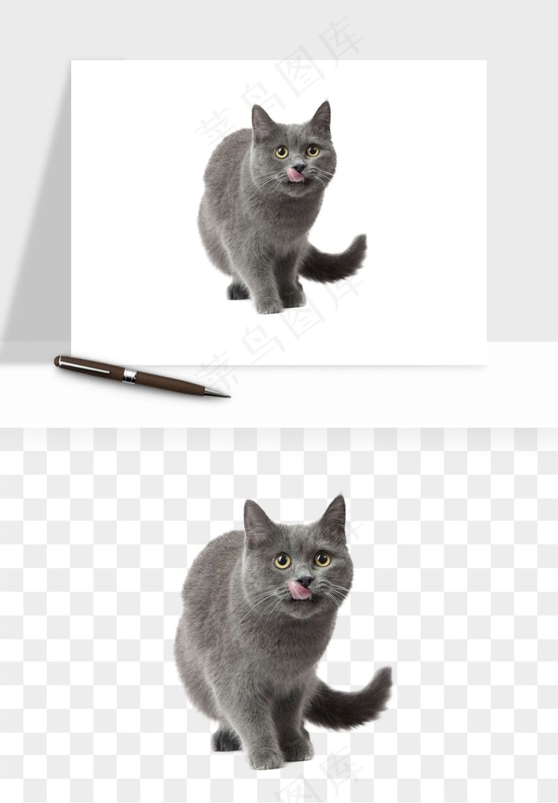 猫咪喵星人狗狗宠物元素png免抠