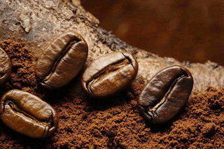 咖啡店咖啡粉烘焙摄影图