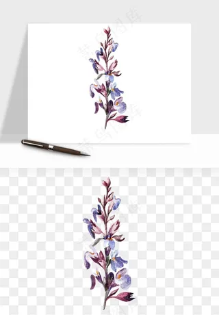 水彩复古植物花卉png免抠