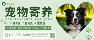 萌宠宠物寄养活动钜惠公众号首图