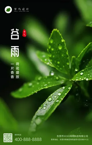 谷雨手机海报