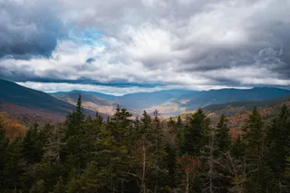 森林秘境：深邃蓝灰云下的多彩画卷