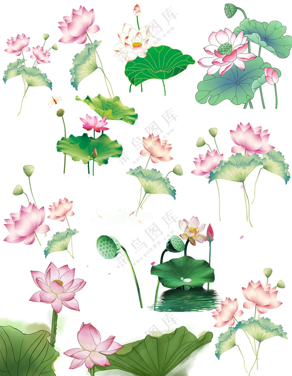 水墨风荷花荷叶插画元素大合集