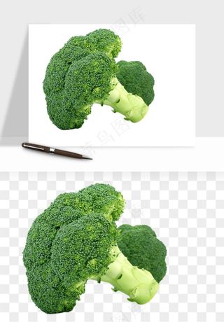 花菜椰菜花蔬菜png免抠