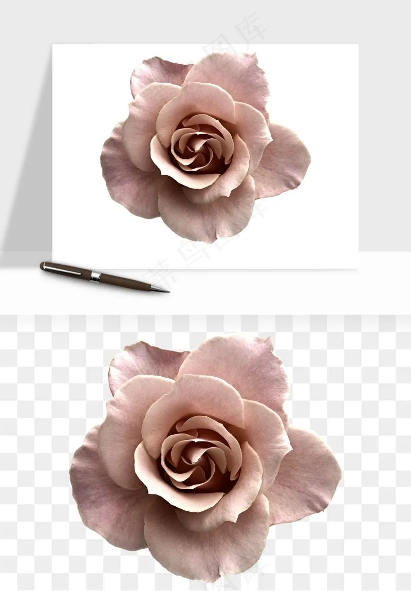 复古鲜花玫瑰png免抠