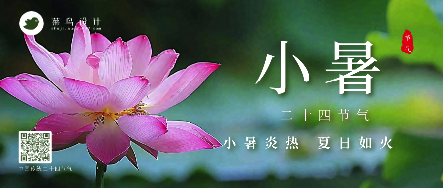 小暑公众号首图