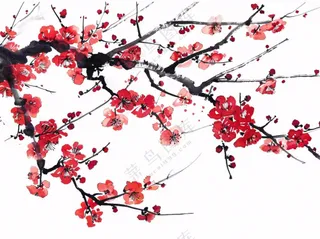 红色梅花傲雪水墨画插画免抠