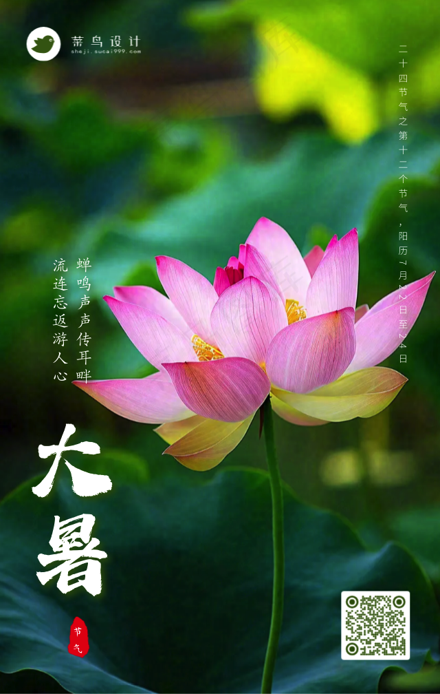 大暑手机海报