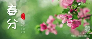 春分公众号首图