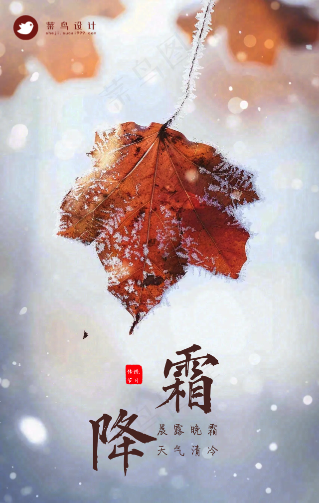 霜降手机海报