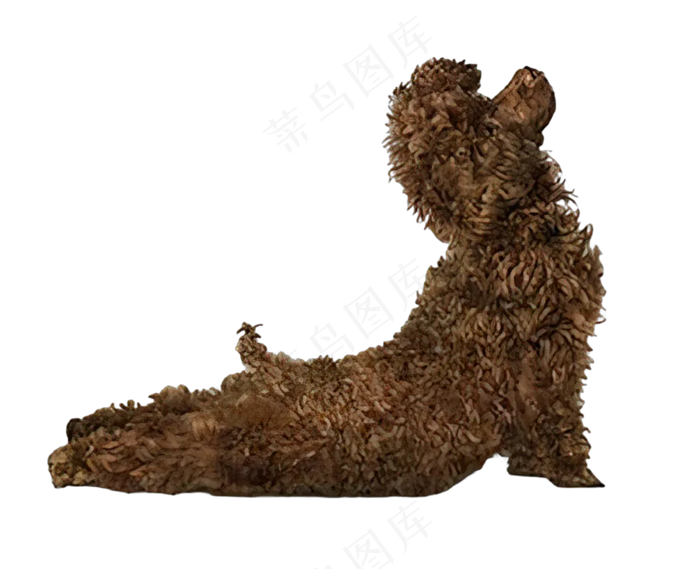 png免抠搞笑有趣动物