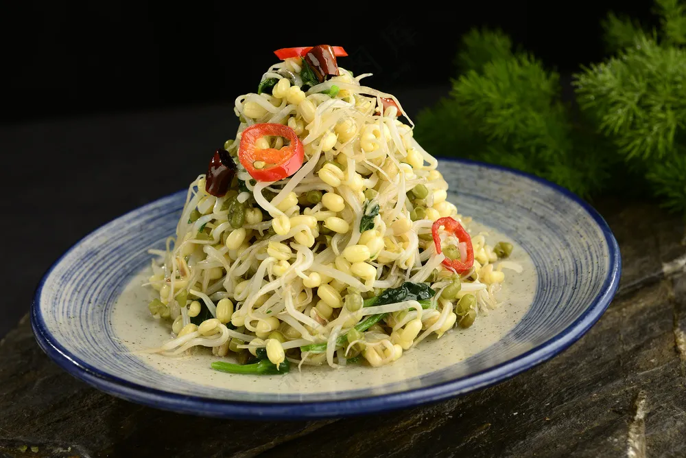 炝拌有机豆芽 炝拌有机豆芽