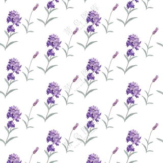 紫色花草植物装饰图案免抠图片素材