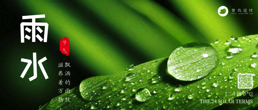 白露公众号首图