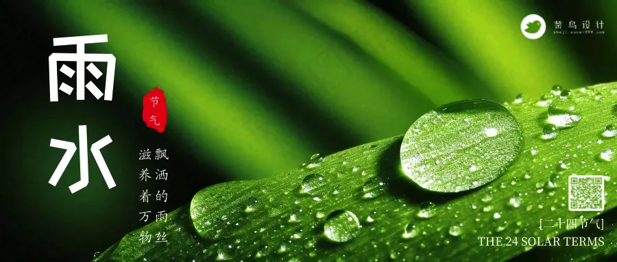 白露公众号首图