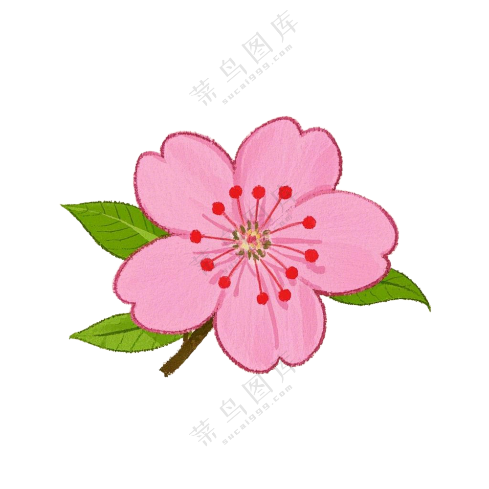 桃花红色春分免扣图