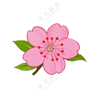 桃花红色春分免扣图