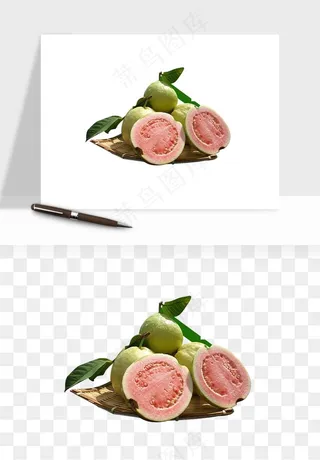 番石榴芭乐水果png免抠