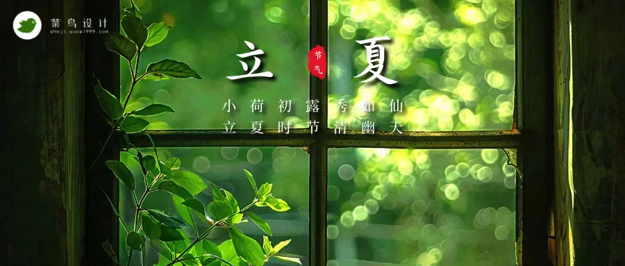 立夏公众号首图