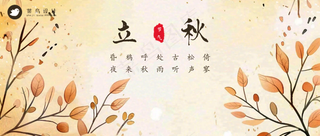 立秋公众号首图