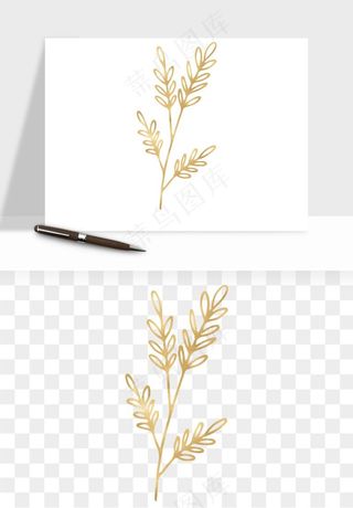 金色植物花环边框png免抠