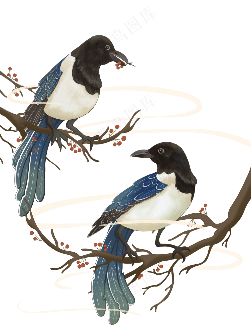 卡通漫画喜鹊比翼鸟