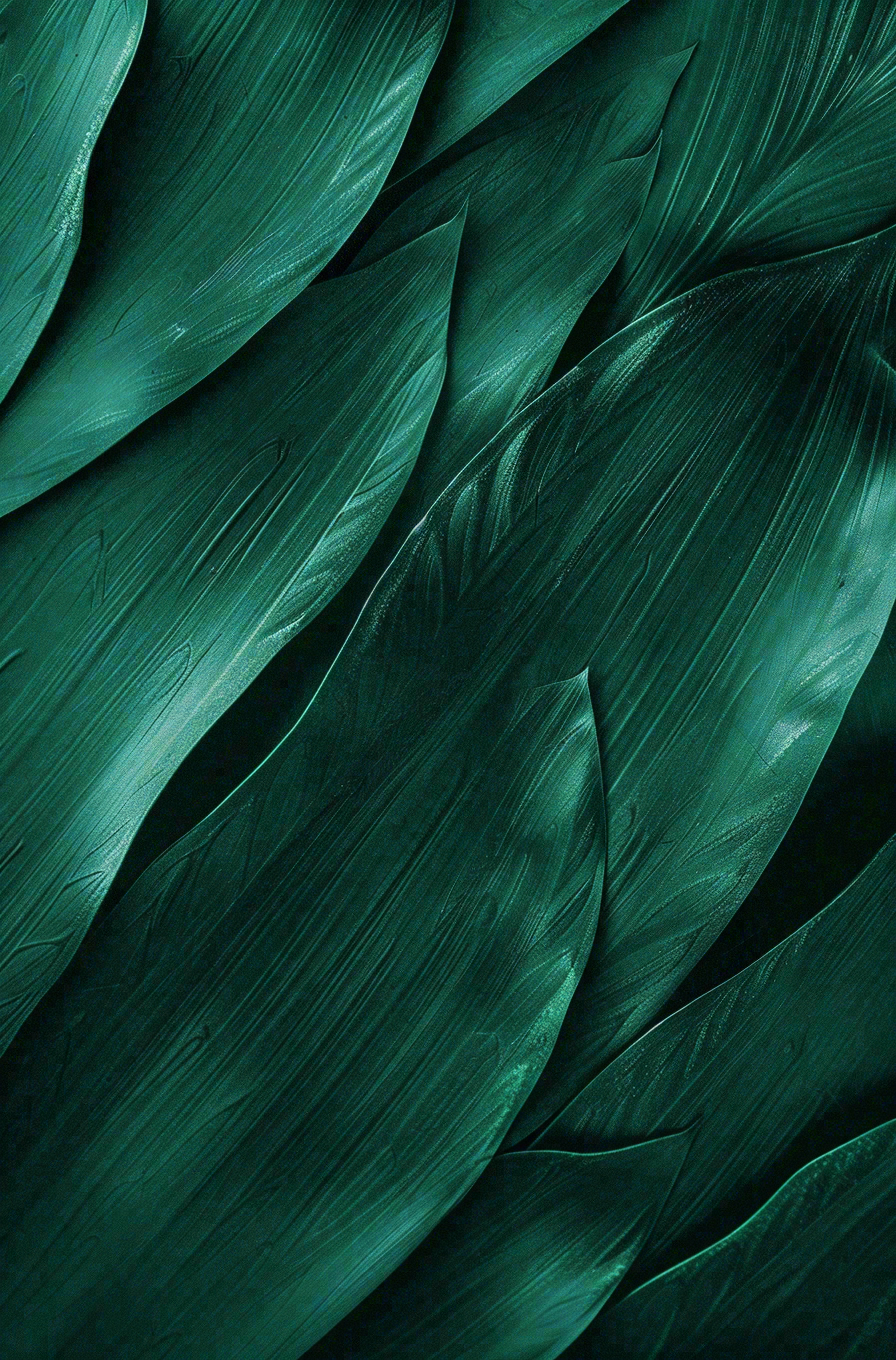 墨绿绿叶植物叶片插画端午节插画背景