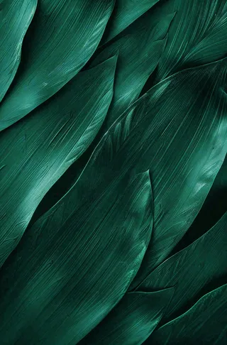 墨绿绿叶植物叶片插画端午节插画背景